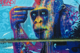 Monkey, graffiti, street art, wall, French, Marko93, Art is not dead