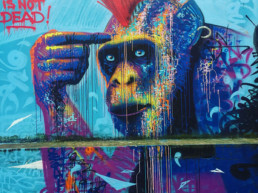 Monkey, graffiti, street art, wall, French, Marko93, Art is not dead