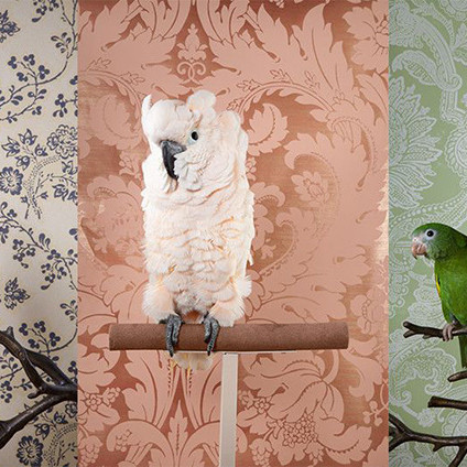 Photo, Exhibition, Gulf Photo Plus in the United Arab Emirates.