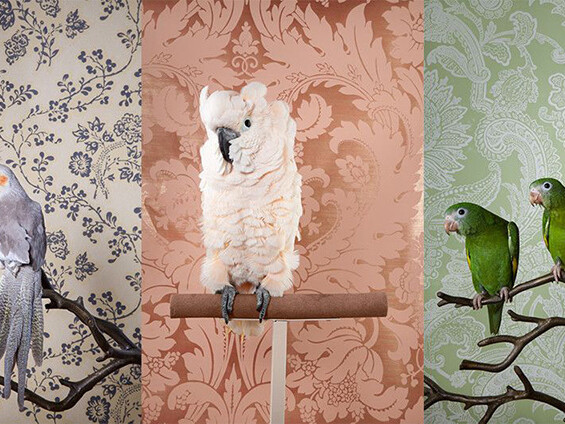 Photo, Exhibition, Gulf Photo Plus in the United Arab Emirates.