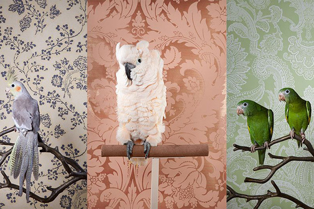 Photo, Exhibition, Gulf Photo Plus in the United Arab Emirates.