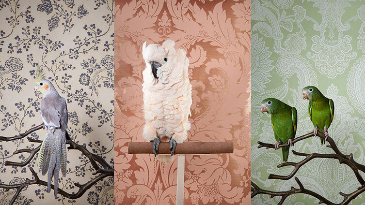 Photo, Exhibition, Gulf Photo Plus in the United Arab Emirates.